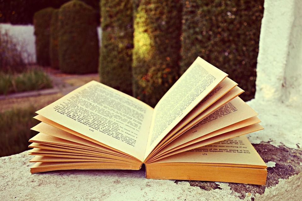 La lecture
